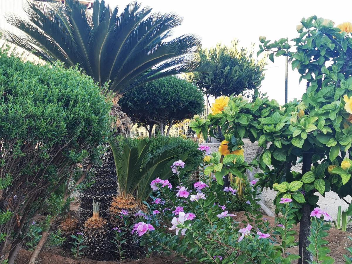 Palorosso House Villa Donnalucata  Ngoại thất bức ảnh